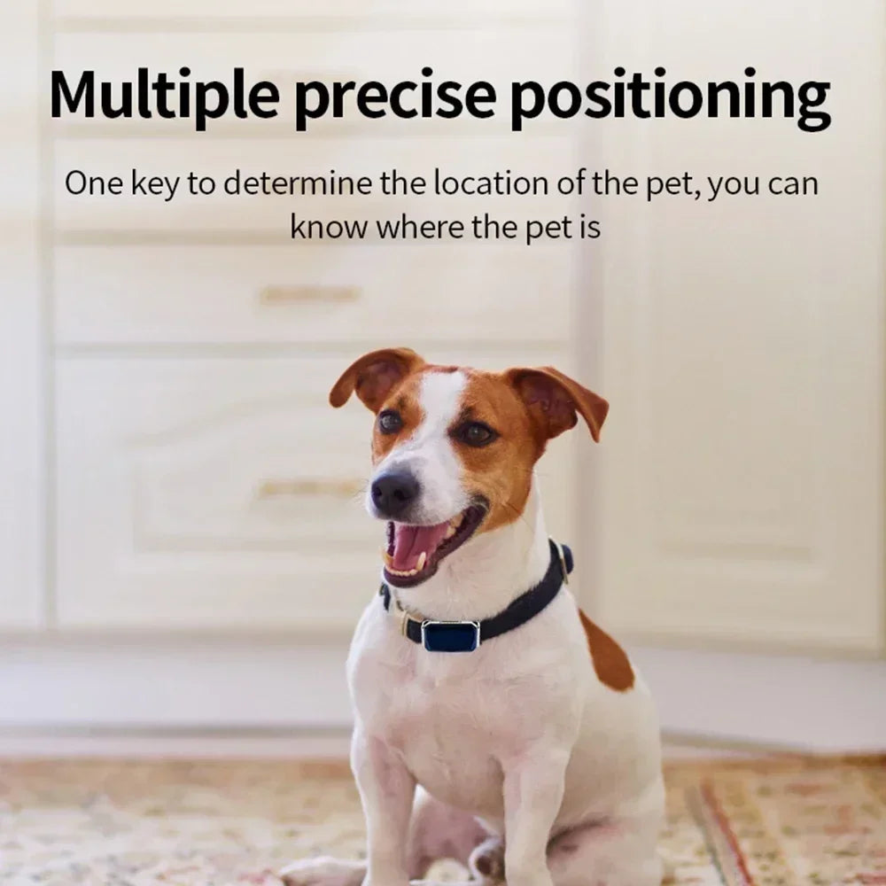 G12 Mini GPS Pet Tracker Collar – Waterproof, Anti-Lost, Real-Time Locator for Dogs & Cats