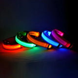LED Nylon Dog Collar – Glow in the Dark Night Safety Leash for Pets | USB Rechargeable & Waterproof