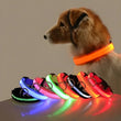 LED Nylon Dog Collar – Glow in the Dark Night Safety Leash for Pets | USB Rechargeable & Waterproof