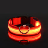 LED Nylon Dog Collar – Glow in the Dark Night Safety Leash for Pets | USB Rechargeable & Waterproof