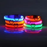 LED Nylon Dog Collar – Glow in the Dark Night Safety Leash for Pets | USB Rechargeable & Waterproof