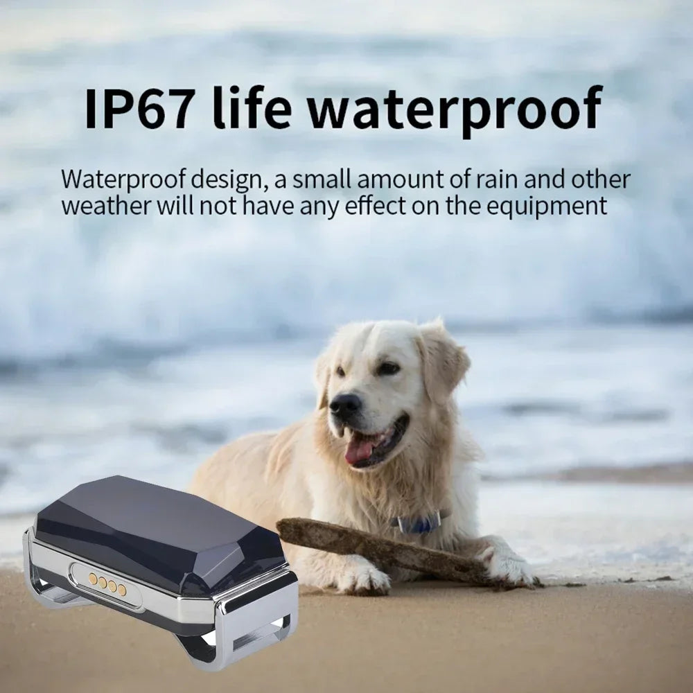G12 Mini GPS Pet Tracker Collar – Waterproof, Anti-Lost, Real-Time Locator for Dogs & Cats